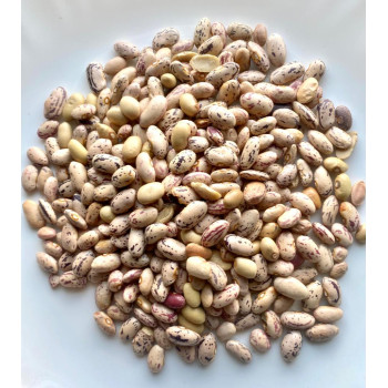 Rajma Kidney Beans ( Kholar ) 400gm - Kheti Culture 